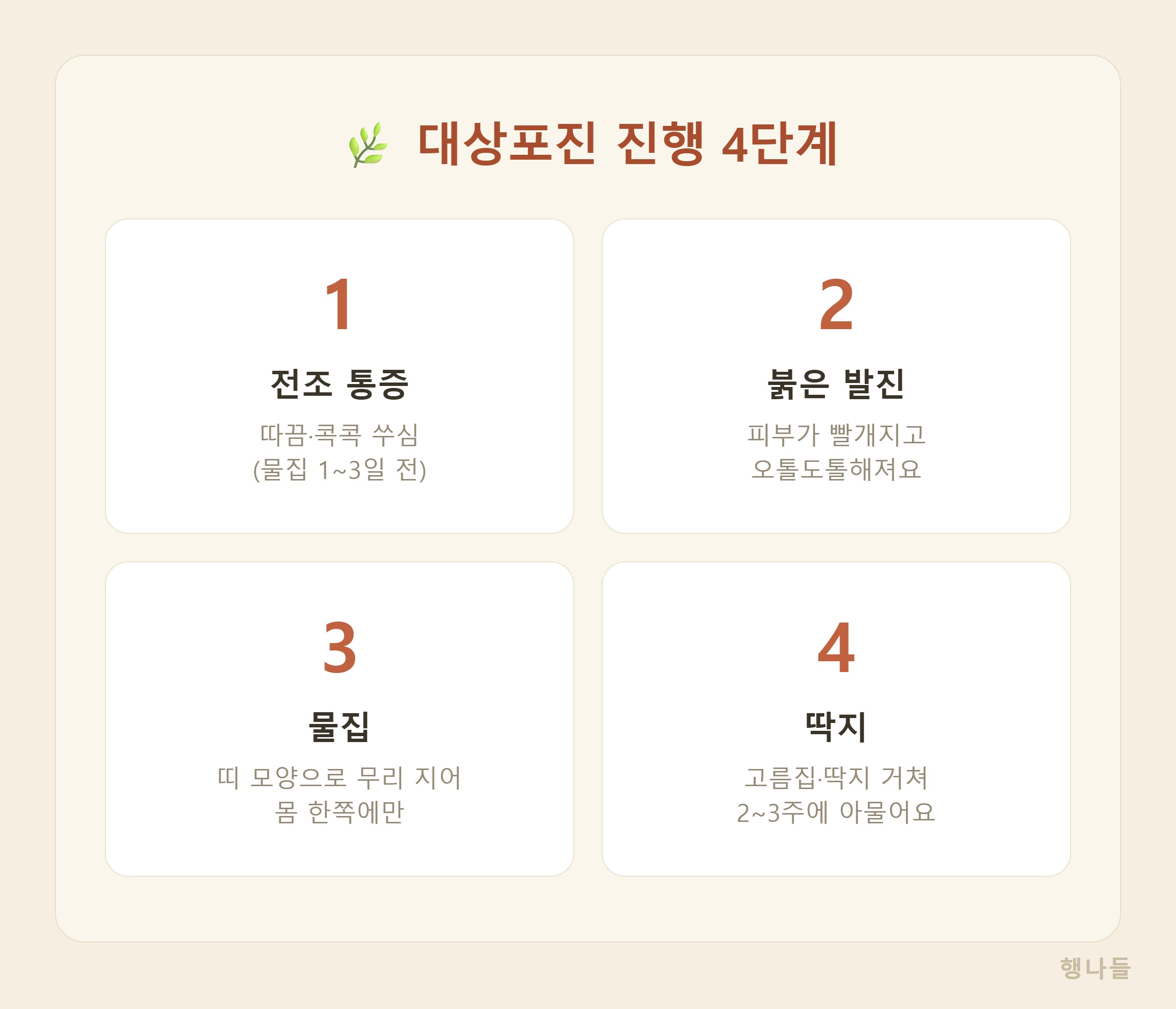 대상포진 진행 단계 - 전조 통증 따끔거림 붉은 발진 물집 딱지 4단계